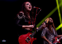 Paralandra_Winga25_CC-5