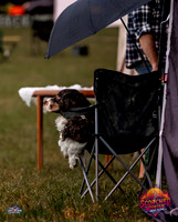 ScorchedMtn2026_FRI_ZL_CC (200 of 46)