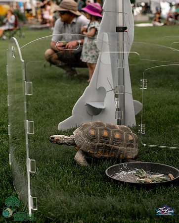 042526_EarthDay2026_ZenLens_cc (216 of 406)