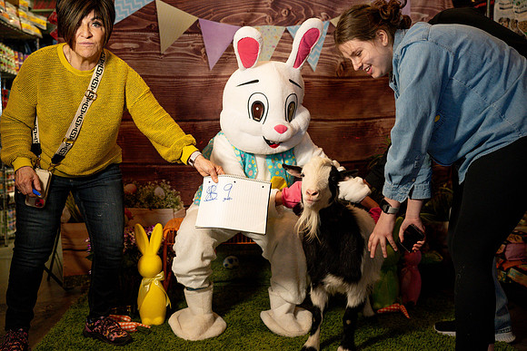 Fetch - Easter Bunny-21