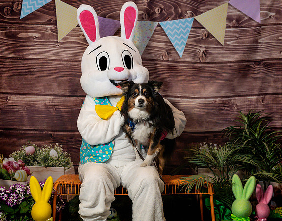 Fetch - Easter Bunny-25