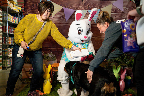 Fetch - Easter Bunny-26