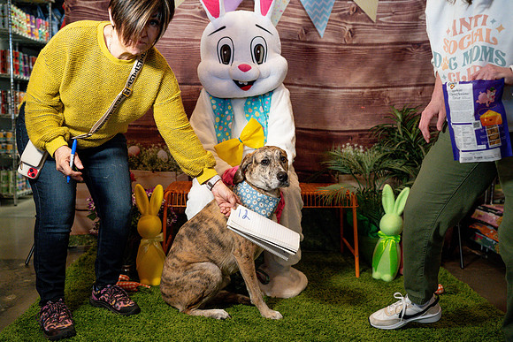 Fetch - Easter Bunny-28