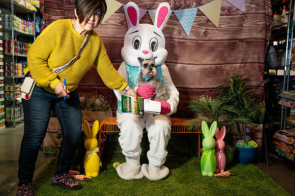Fetch - Easter Bunny-32