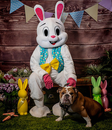 Fetch - Easter Bunny-38