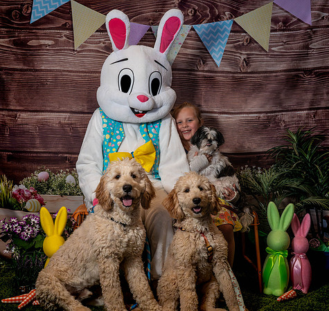 Fetch - Easter Bunny-41