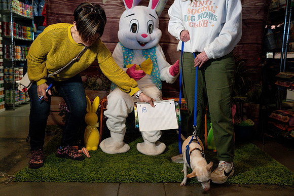 Fetch - Easter Bunny-42