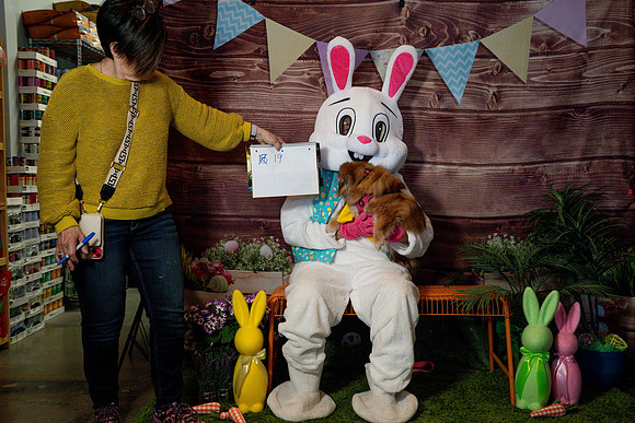 Fetch - Easter Bunny-44
