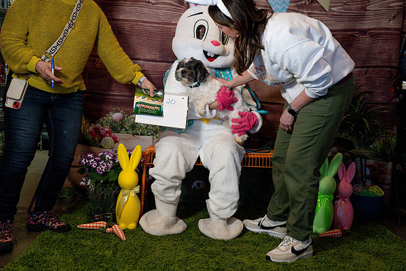 Fetch - Easter Bunny-46