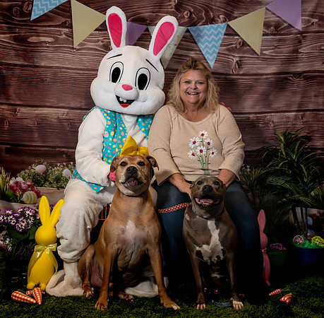 Fetch - Easter Bunny-50