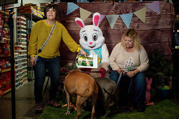 Fetch - Easter Bunny-49