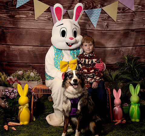 Fetch - Easter Bunny-58