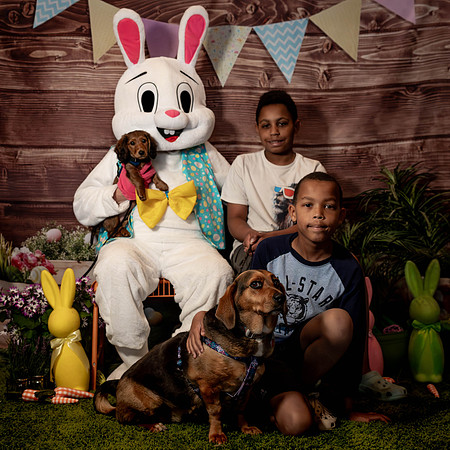 Fetch - Easter Bunny-62