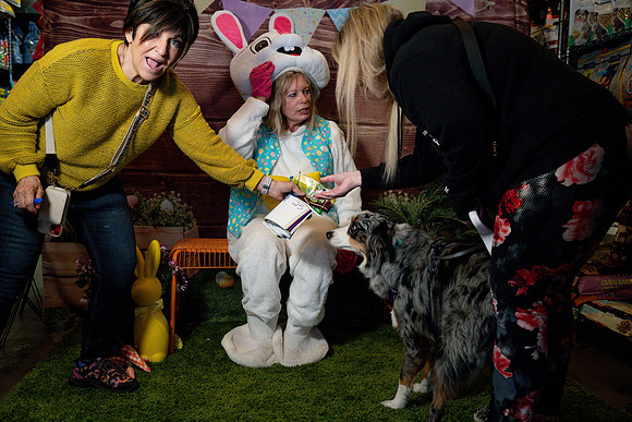 Fetch - Easter Bunny-57