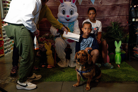 Fetch - Easter Bunny-61