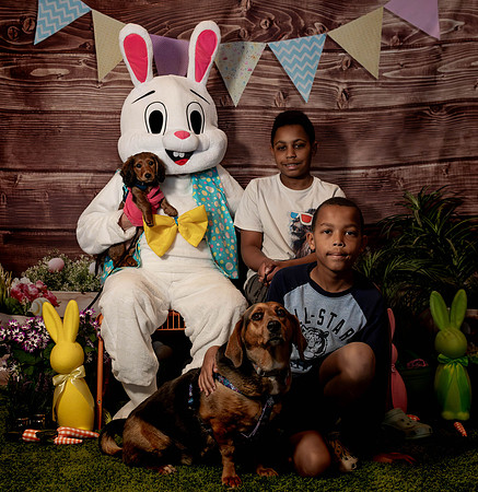 Fetch - Easter Bunny-63