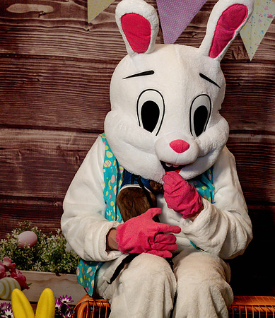 Fetch - Easter Bunny-64