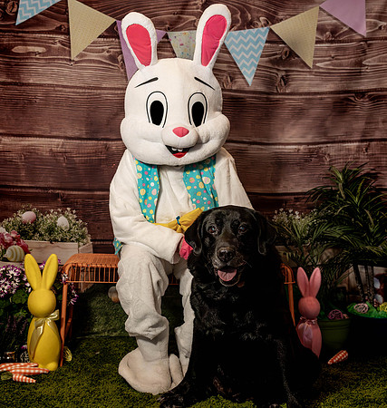 Fetch - Easter Bunny-70