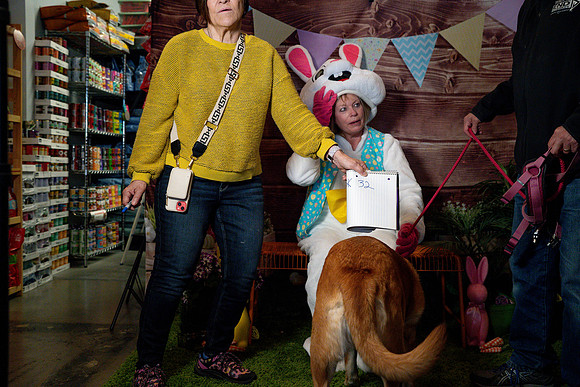 Fetch - Easter Bunny-73
