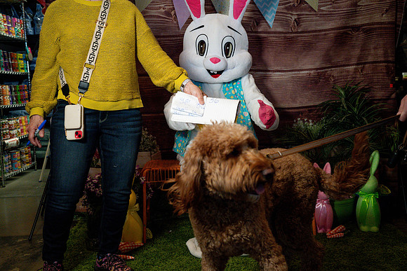 Fetch - Easter Bunny-81