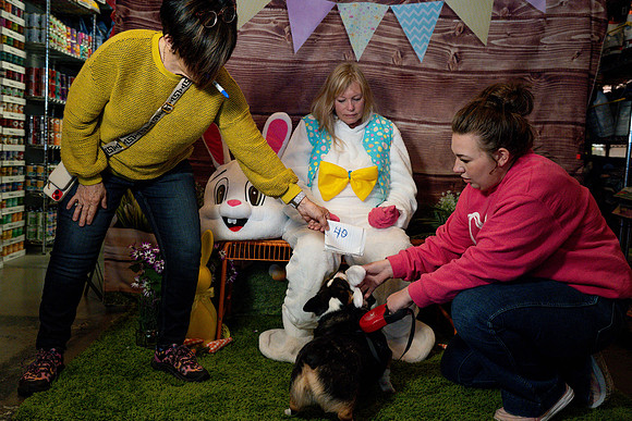 Fetch - Easter Bunny-89
