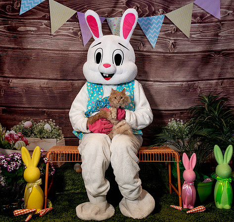 Fetch - Easter Bunny-94
