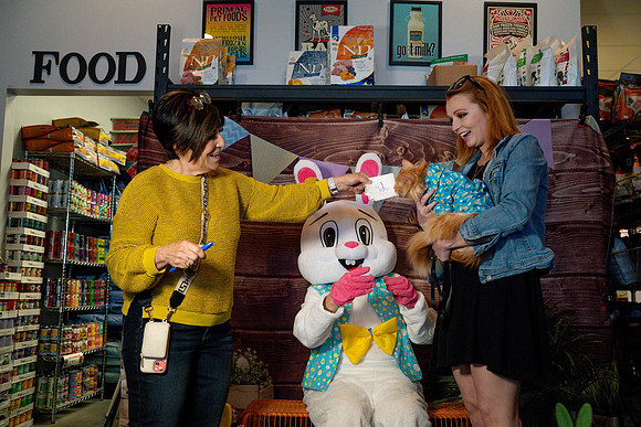 Fetch - Easter Bunny-93