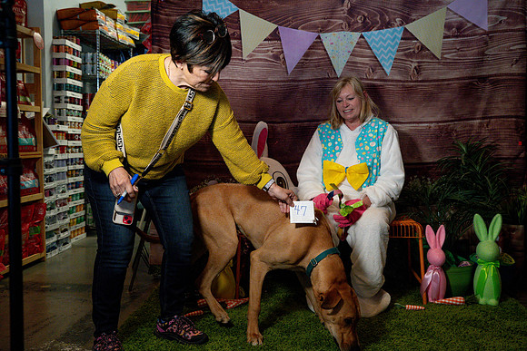 Fetch - Easter Bunny-103