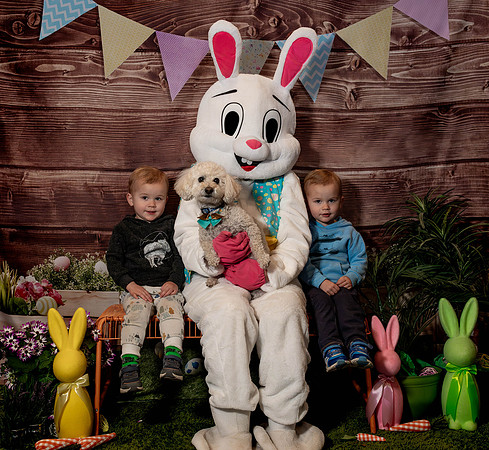Fetch - Easter Bunny-108