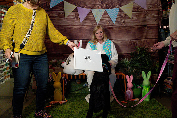 Fetch - Easter Bunny-105