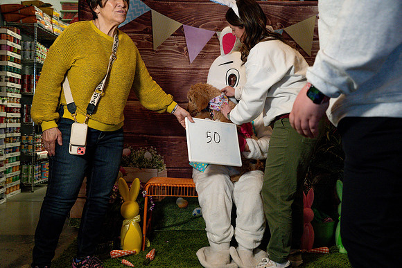 Fetch - Easter Bunny-109