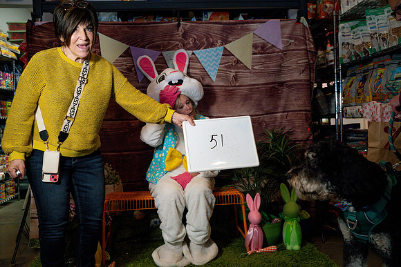 Fetch - Easter Bunny-111