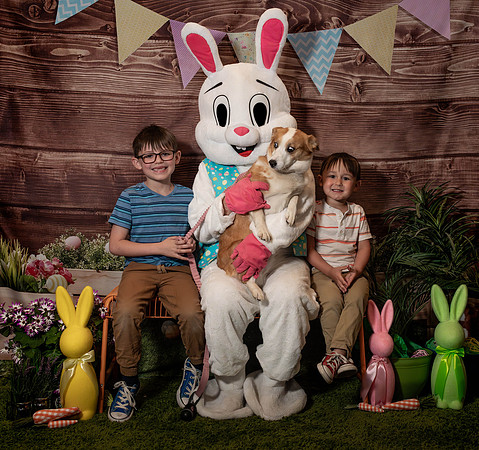 Fetch - Easter Bunny-114