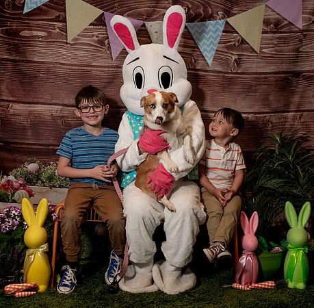 Fetch - Easter Bunny-115