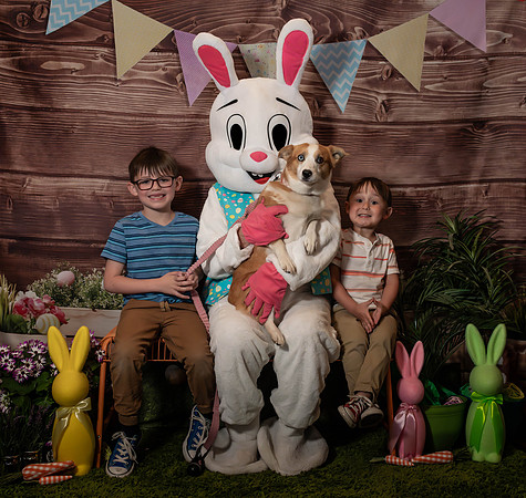 Fetch - Easter Bunny-116