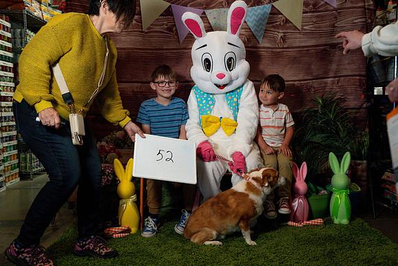 Fetch - Easter Bunny-113