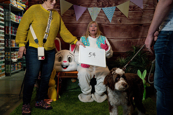 Fetch - Easter Bunny-119