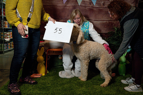 Fetch - Easter Bunny-121