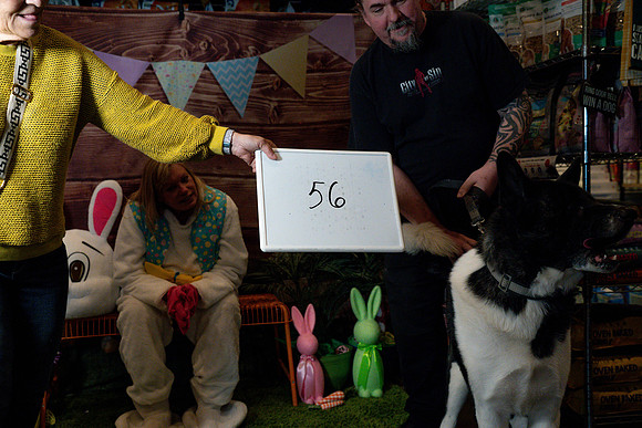 Fetch - Easter Bunny-123