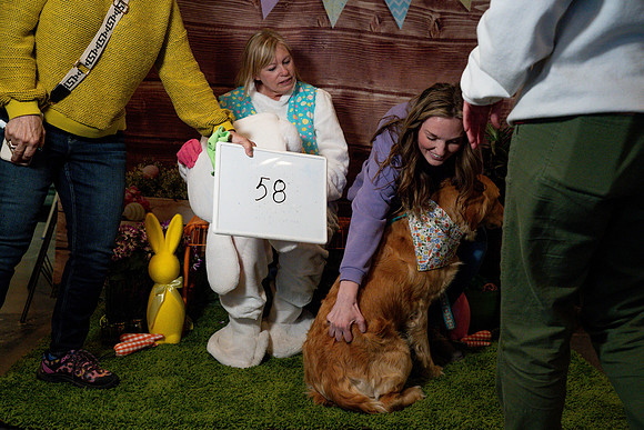 Fetch - Easter Bunny-127