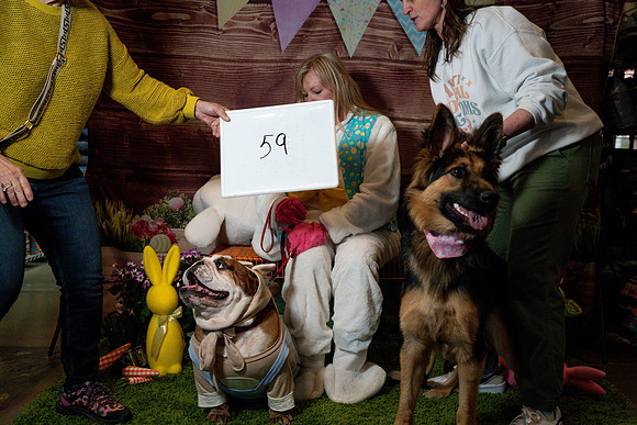 Fetch - Easter Bunny-129