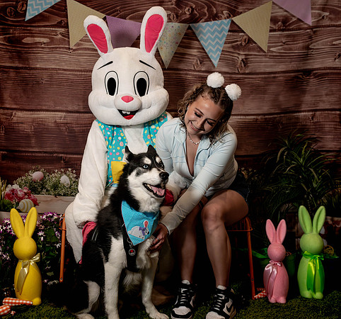 Fetch - Easter Bunny-140