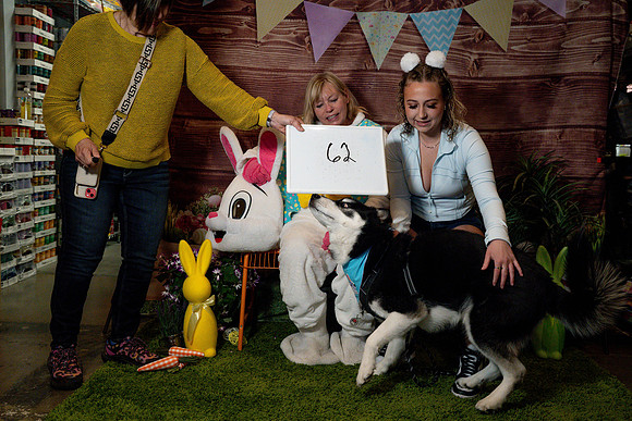 Fetch - Easter Bunny-138