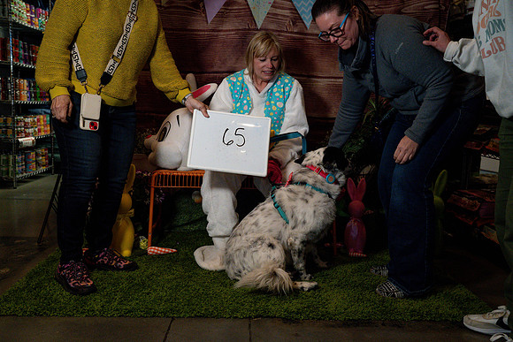 Fetch - Easter Bunny-147