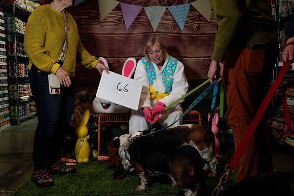 Fetch - Easter Bunny-149