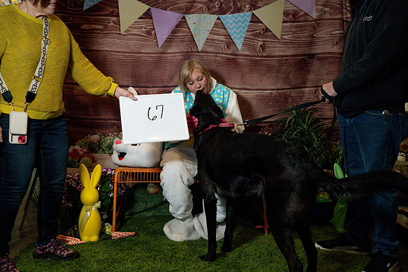 Fetch - Easter Bunny-151