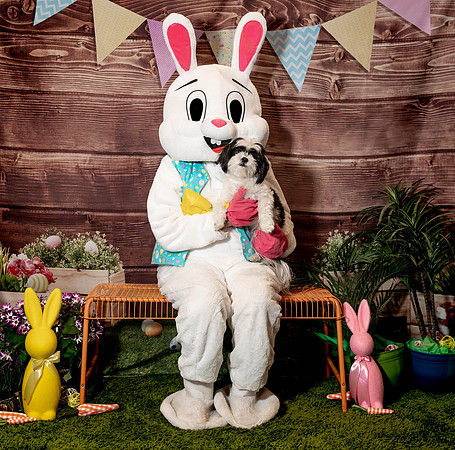 Fetch - Easter Bunny-155