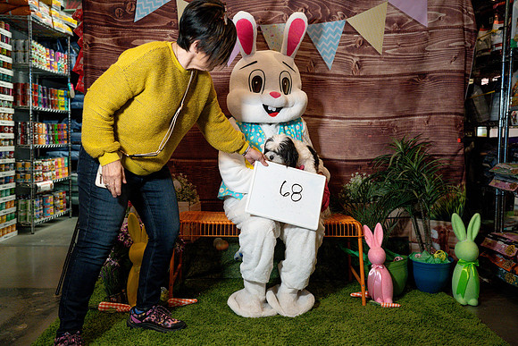 Fetch - Easter Bunny-154
