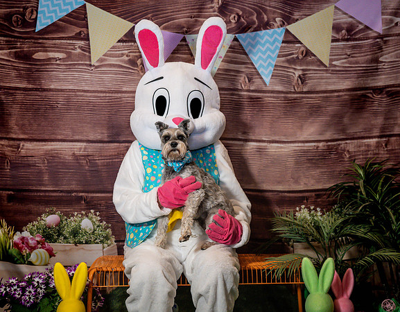 Fetch - Easter Bunny-34