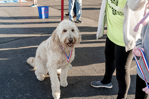 Pound the Pavement 2024 (231 of 417)
